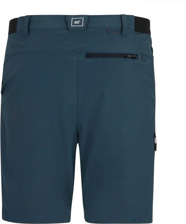 Produktbild Regatta M's Anti-Insect Travel Light Shorts (30, 38)