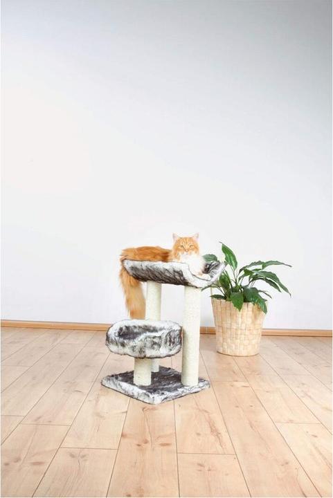 Produktbild Trixie Kratzbaum Isaba (57 cm, Grau, Natural)
