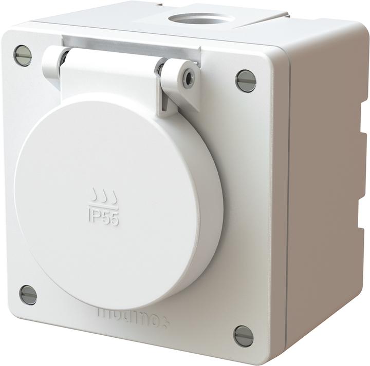 Image du produit Max Hauri 1x type 13 modino exo