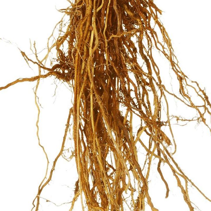 Actual product image Florascent Aroma Spray Vetyver