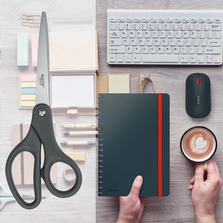 Actual product image Leitz Titanium Scissor (20.50 cm)