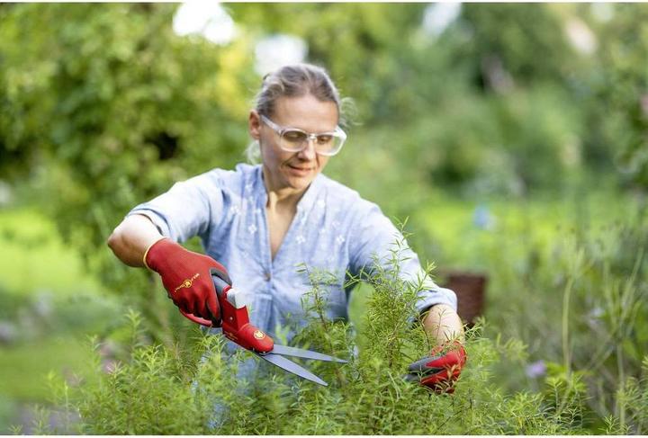 Produktbild GCS Wolf Garten Grasschere Gs-3p Premium