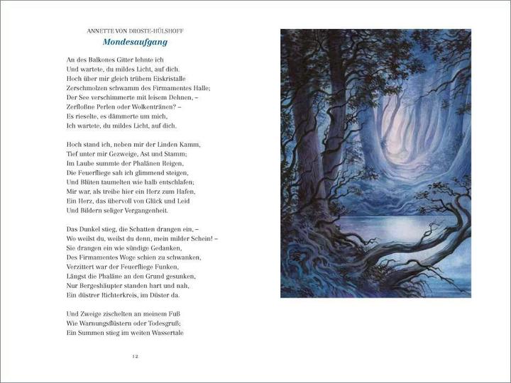 Produktbild Die schönsten Mondgedichte (Deutsch, Reinhard Michl, Matthias Reiner, 2017)