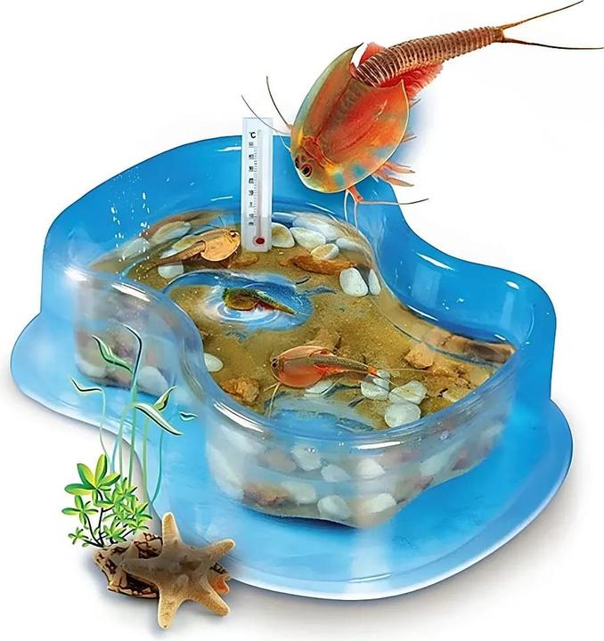 Image du produit Galileo Set de démarrage original Triops