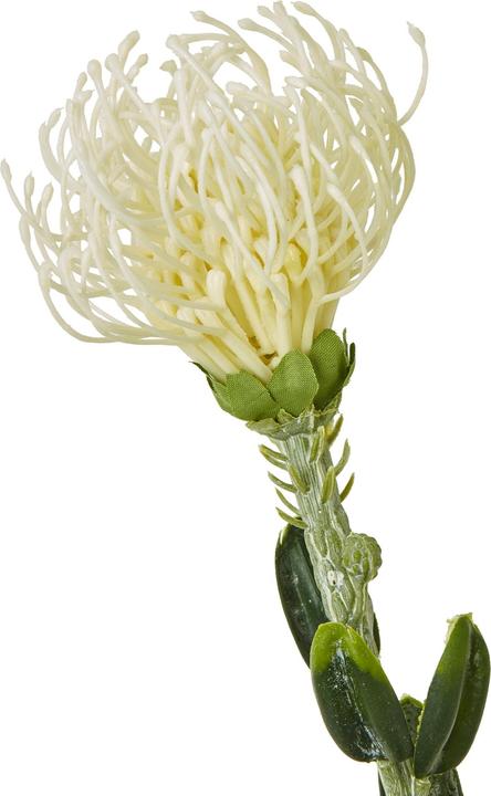 Immagine prodotto Hill Interiors Protea a Cuscino Spray Fiore Artificiale (61 cm)