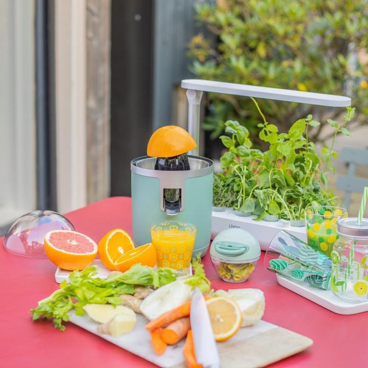 Actual product image Livoo Electric juicer