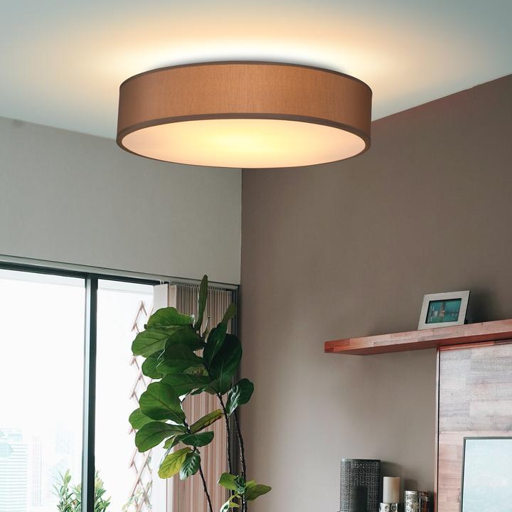 Immagine prodotto Monzana Lampada da soffitto (E27)