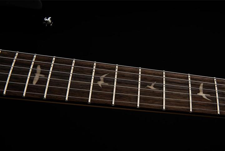 Produktbild PRS SE Silver Sky (E-Gitarre, Ahorn, Palisander, Pappel)