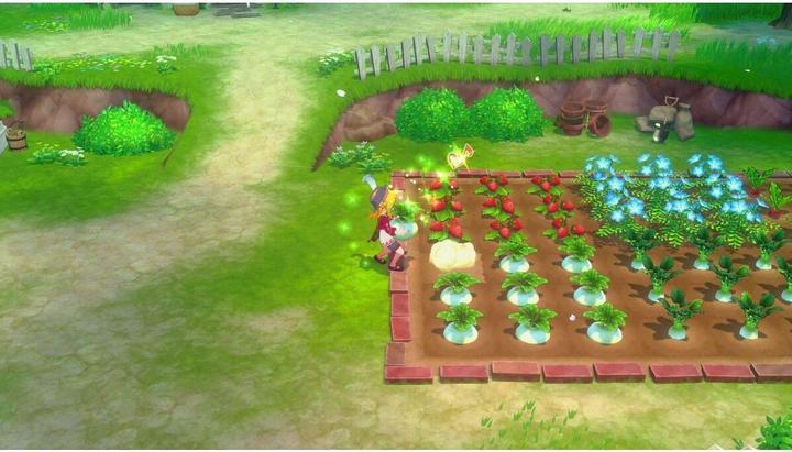 Actual product image Marvelous Story of Seasons: Grand Bazaar (Limited Edition) (Switch, EN)