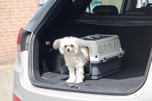 Image du produit Karlie Nomad Top Loader (Chat, Chien, Verrouillable)