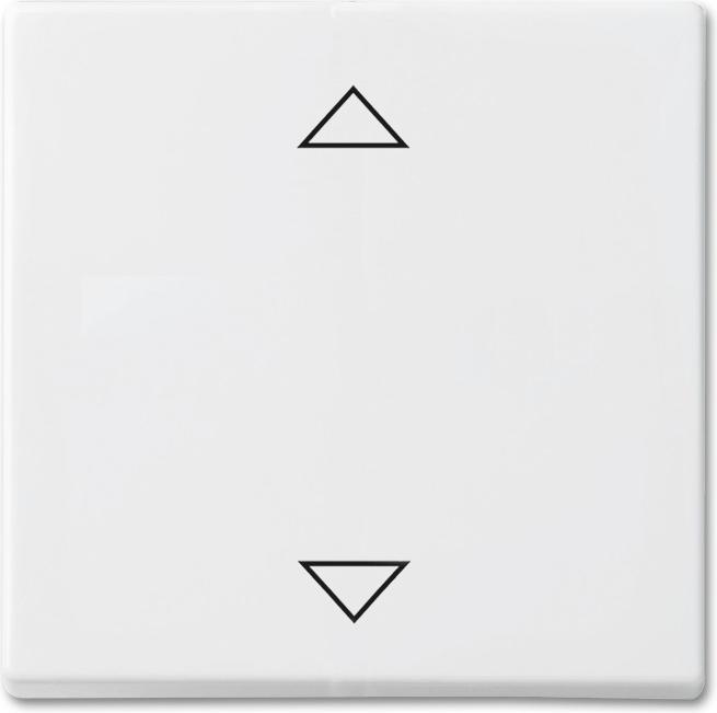 Actual product image Busch-Jaeger Rocker, blind push-button 2CKA001751A3098