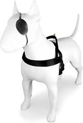 Actual product image MORSO Norwegian Hondentuig Gerecycled Gold Caviar Goud (Dog, General)