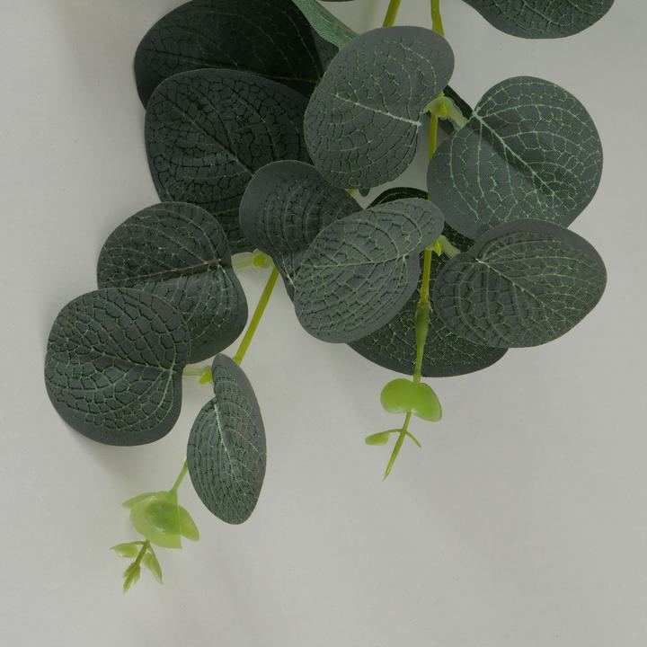 Actual product image Boltze Home Eukalyptus (18 cm)