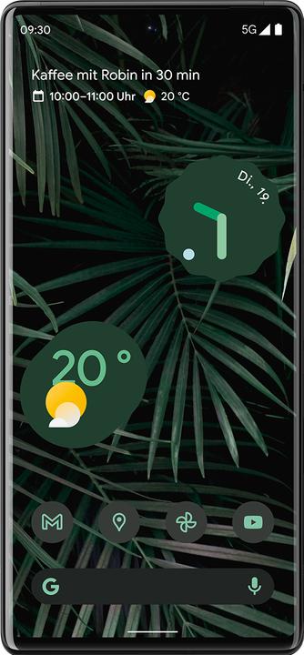 Productafbeelding Google Pixel 6 Pro (128 GB, Stormy Zwart, 6.70", SIM + eSIM, 5G)