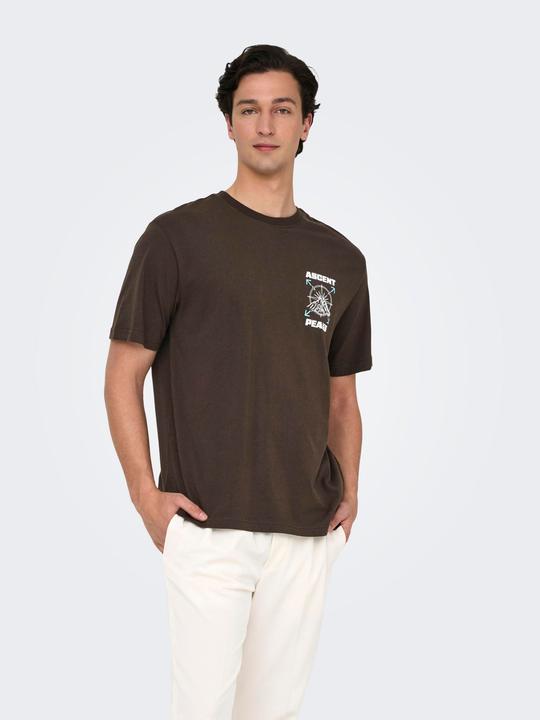 Produktbild Only & Sons Onskeane Rlx Ss Print Tee Noos (L)