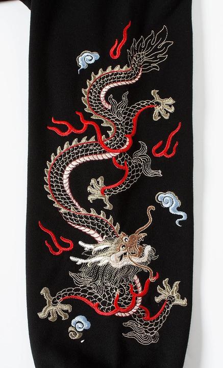 Image du produit Niepce Pull à capuche graphique brodé Dragon en tissu épais (XXL)