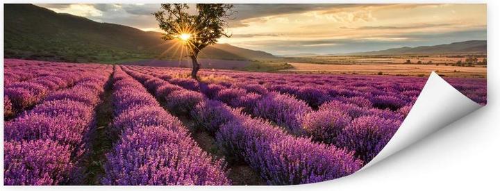 Actual product image Trenddeko Lavender blossom in Provence - 01 (100 x 40 cm)