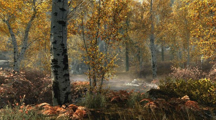 Image du produit Bethesda The Elder Scrolls 5 : Skyrim Anniversary Edition (mise à niveau gratuite vers la PS5) (PS4, DE)
