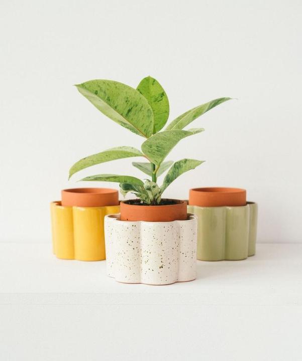 Produktbild Pepin Paula