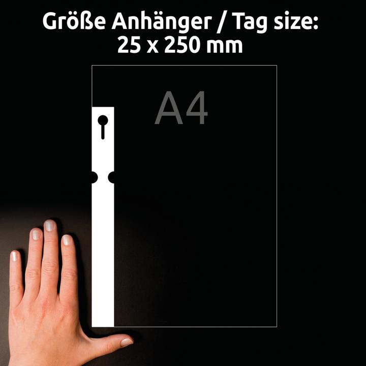 Actual product image Avery Loop pendant