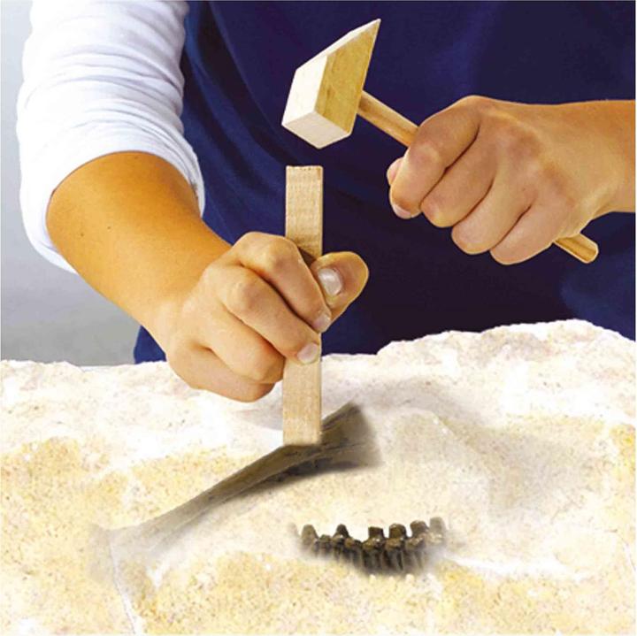 Produktbild Ses Explore Dino and Skeleton Dig 2in1 – T-Rex