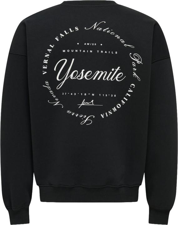 Image du produit Only & Sons Sweatshirt ONSCERES SKI Pullover (L)
