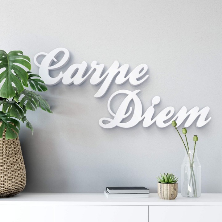 Immagine prodotto Trenddeko 3D Carpe Diem (85 x 19 cm)