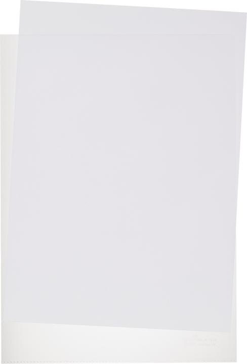 Actual product image Durable Standard (A4, 100 x)