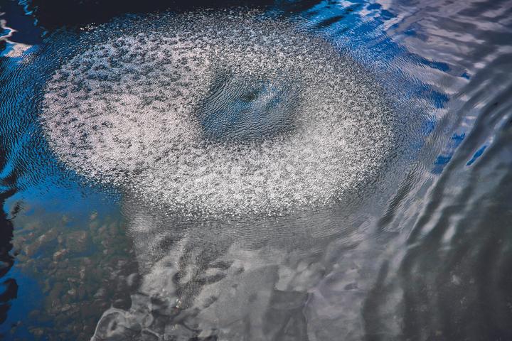 Actual product image Oase 88667 AquaOxy D 60cm aerator ring