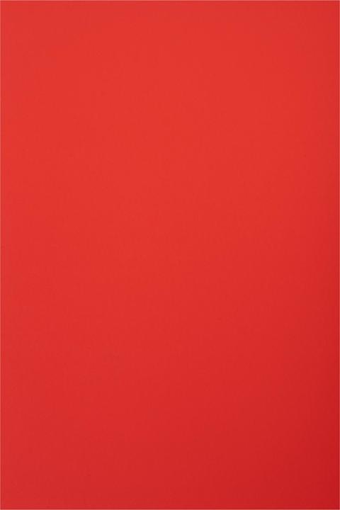 Produktbild Folia Tonpapier, 50 x 70 cm, 130g/m² (130 g/m², 1 x)