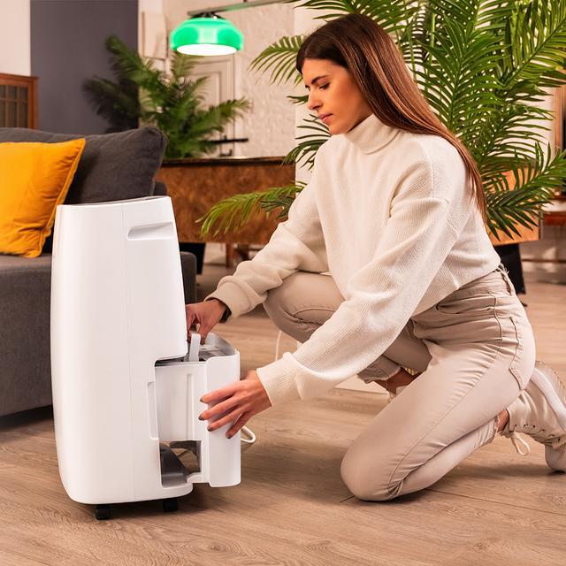 Actual product image Cecotec BigDry 10000 Expert Connected (60 m², 30 l/24h)