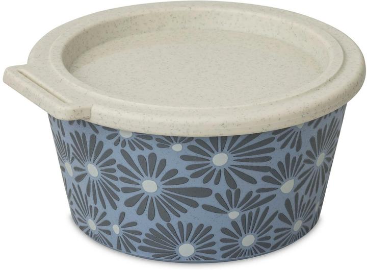Beige, Blu, Multicolore