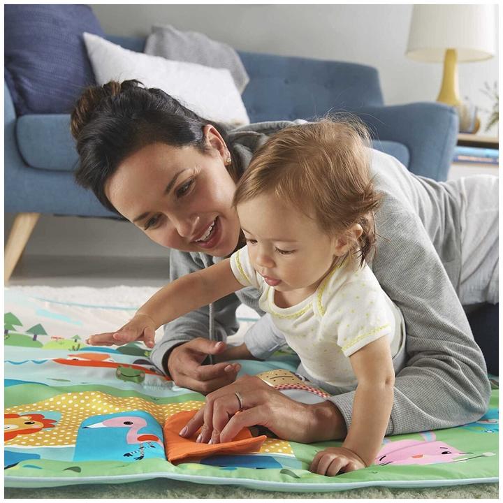 Image du produit Fisher-Price GXR53