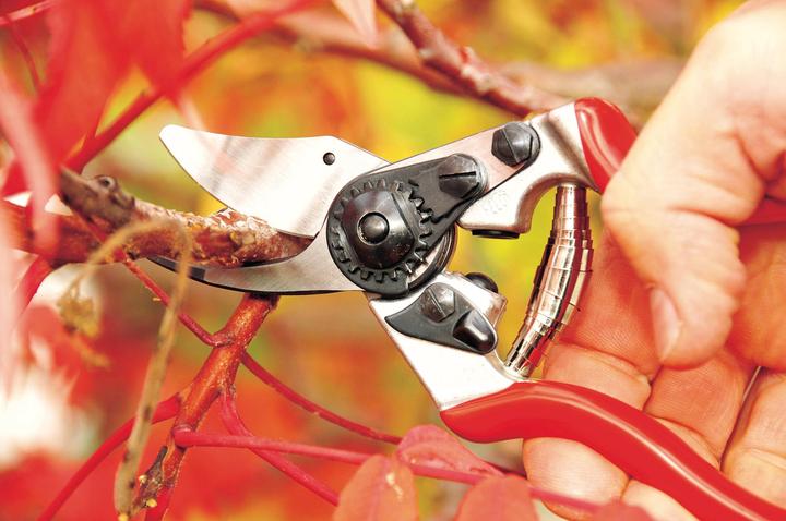 Produktbild Felco Gartenschere 6