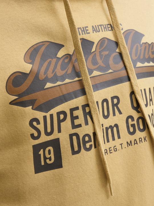 Produktbild Jack & Jones JJELOGO SWEAT HOOD 2 COL 25/26 NOOS (M)