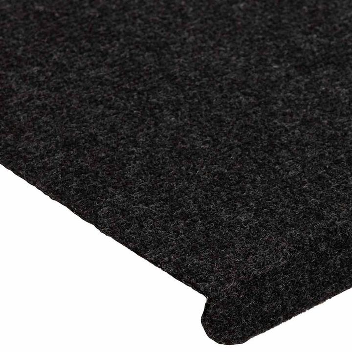 Actual product image vidaXL Stufenmatte (65 x 24.50 cm)