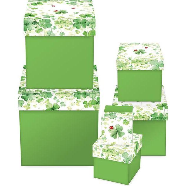 Braun + Company, Geschenkverpackung, Geschenkpapier 2mx70cm (Geschenkpapier)