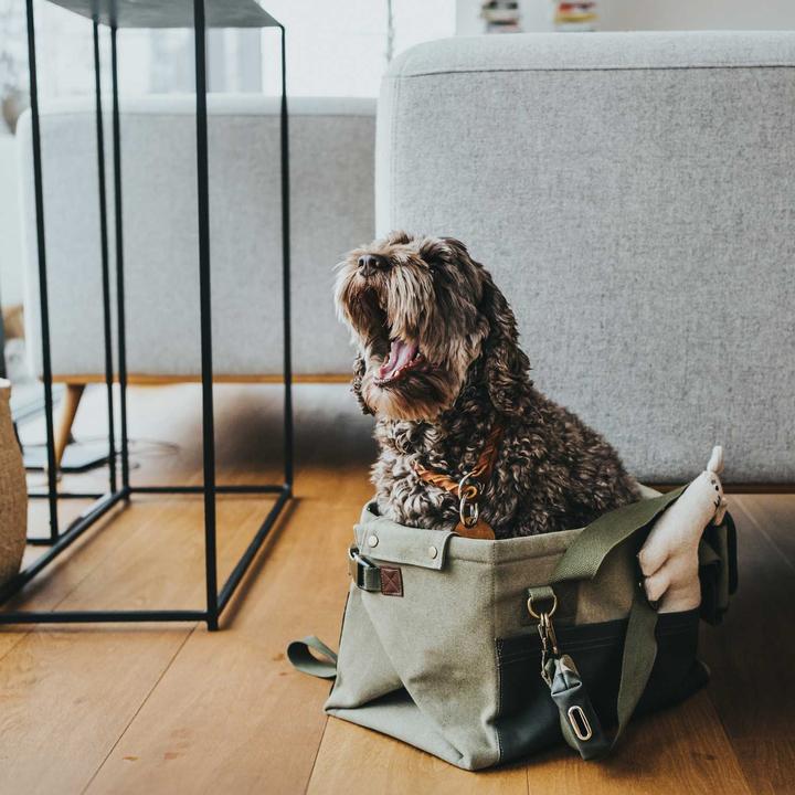 Image du produit Hunter Madison (Chien, Ouverture complète)