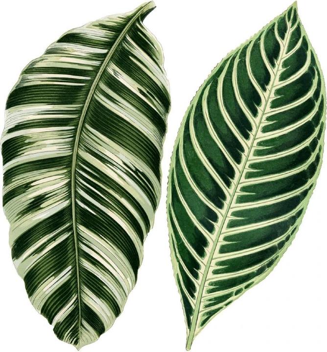 Trenddeko Botanical Leaves