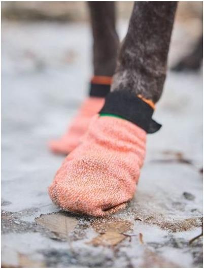 Immagine prodotto Non-Stop Dogwear Calze protettive leggere Protector per cani XS (XS)