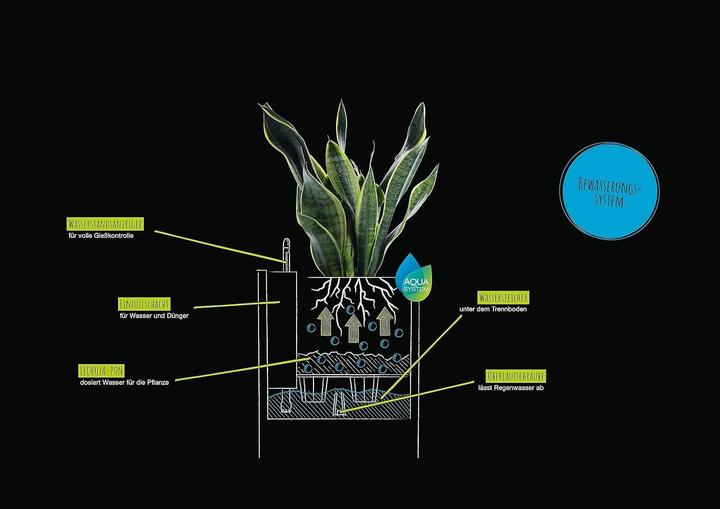 Produktbild Lechuza Canto Stone (40 cm)