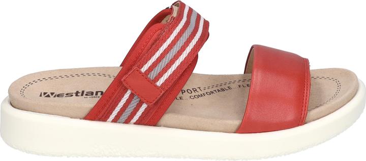 Actual product image Westland 25404-410 (42)