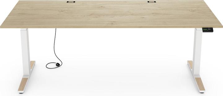 Immagine prodotto Yaasa Desk Expert (160 x 80 cm)