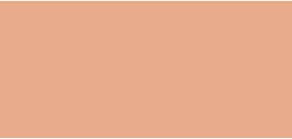 Actual product image Sisley Phyto Complexion Nude No 2C (2C Soft Beige)