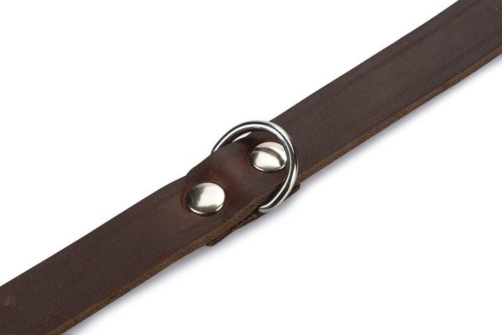 Produktbild Beeztees BZ LEDERHALSBAND BRAUN 42X16 (42, Hund, Allgemein)