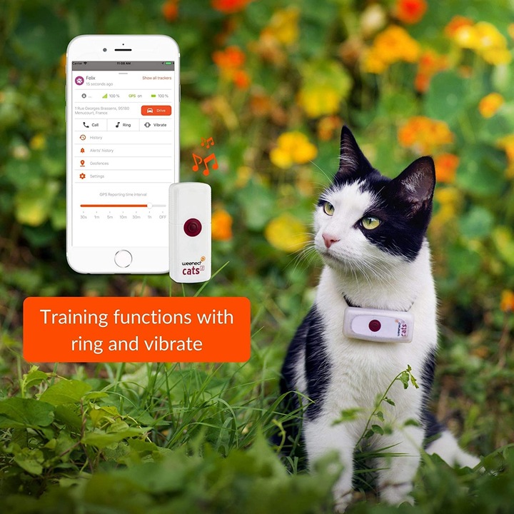 Produktbild Weenect GPS-Tracker für Katzen