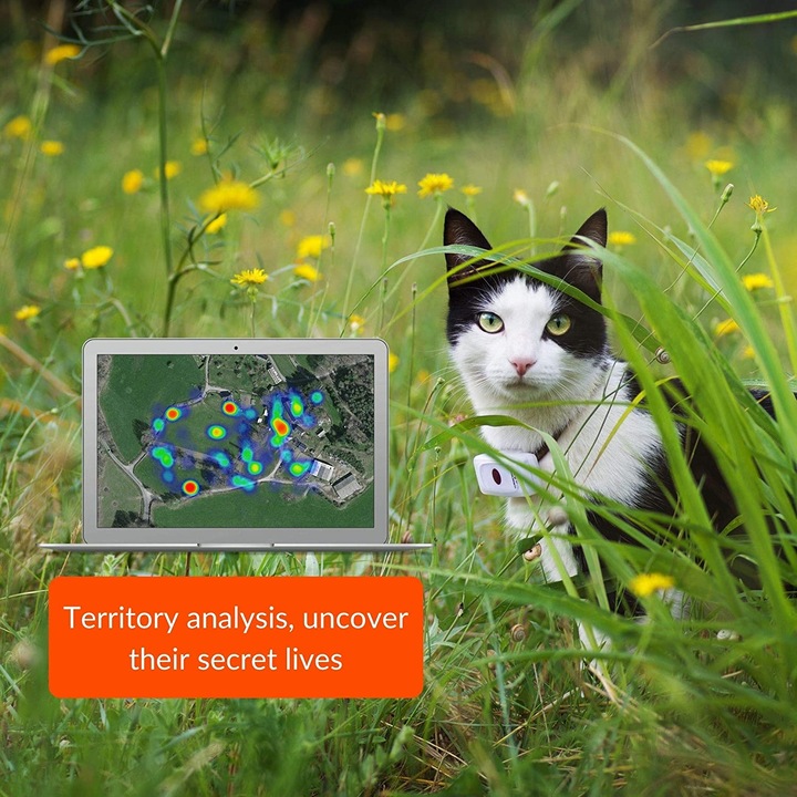Produktbild Weenect GPS-Tracker für Katzen