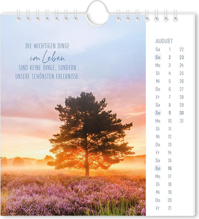 Immagine prodotto Postkartenkalender 2026 Lichtblicke (16 x 17 cm)