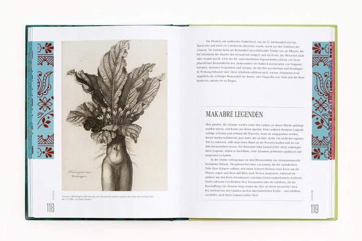 Actual product image Ethnobotanik (German, Bettina Eschenhagen, Sarah Dr Edwards, 2024)