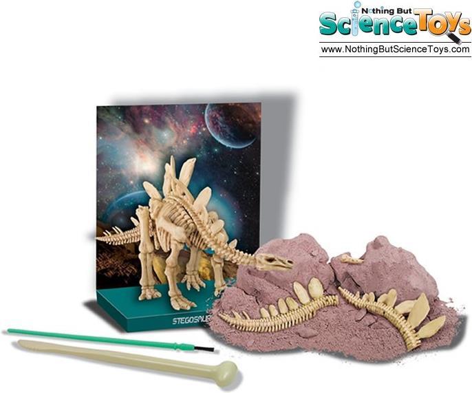 Actual product image 4M Dig a Stegosaurus Skeleton